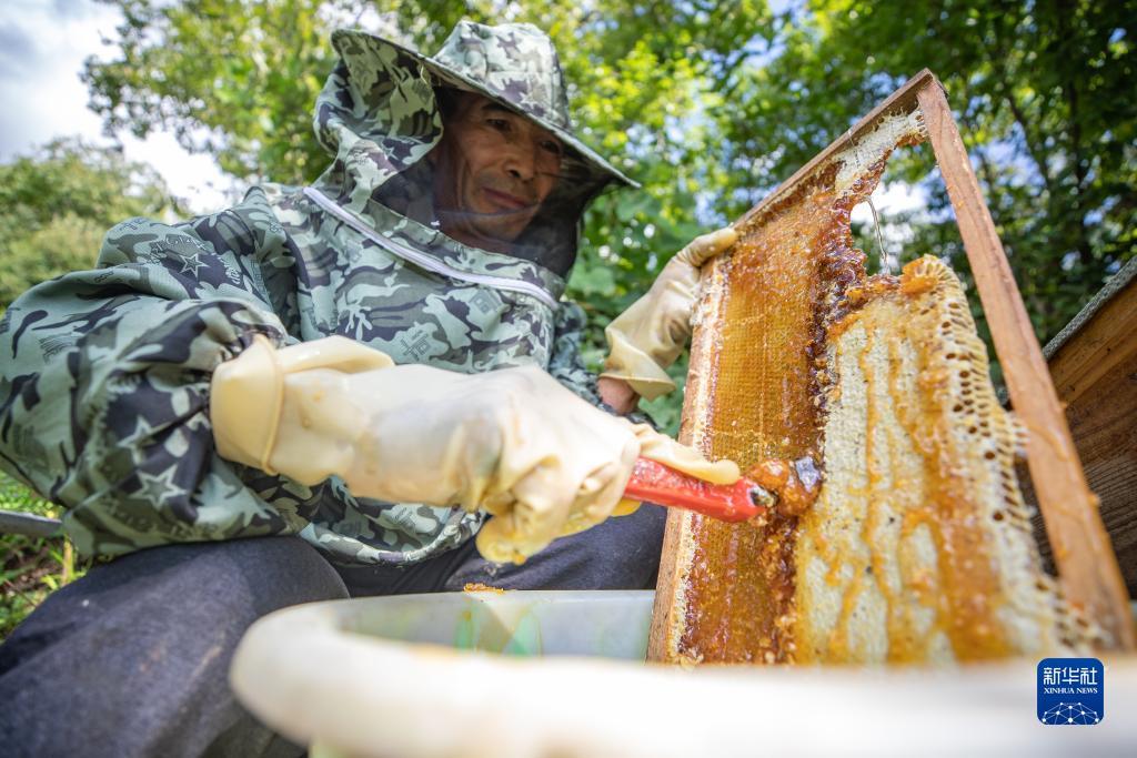 巴黎人十大直营